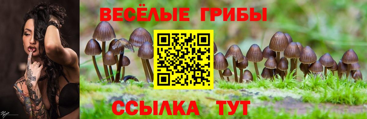 Воркута  Псилоцибиновые грибы Magic Shrooms  Вход с VPN 